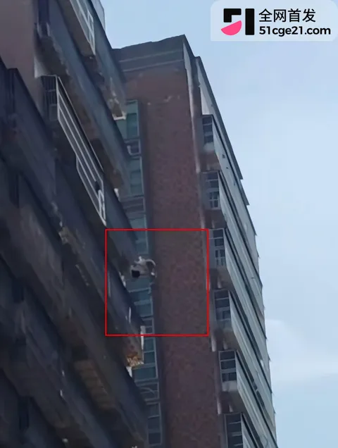 普宁女孩跳楼事件 4 普宁女孩跳楼事件 4